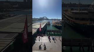 Circular quay station  sydney australia australia travel sydney [upl. by Anilem]