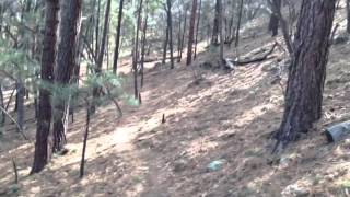 Deer Canyon Disc Golf Kingman AZ [upl. by Anak]