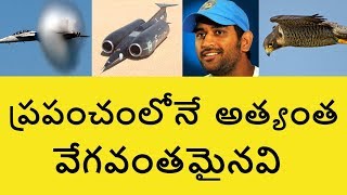 Top Fastest Things in the World in Telugu  Telugu Badi [upl. by Hourigan]