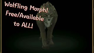 AQ3D Wolfling Morph  FREEAVAILABLE FOR EVERYONE F2P  Travel Form in Green Ravine [upl. by Thorma]