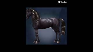 Frisian gen 2 sso starstable starstableonline oldsso frisian [upl. by Mclain]