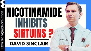 DAVID SINCLAIR “Nicotinamide Inhibit Sirtuins”  Dr David Sinclair Interview Clips [upl. by Yssor]