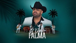 El Guero Palma  Contenibles de Sinaloa VIDEO OFICIAL [upl. by Eelarbed]