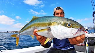 Sydney Kingfish On Poppers amp Jigs  Yellowtail Kingfish Lures Only  Fishing Australia [upl. by Esteban]