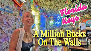 Wow A Million Dollars Covers the Walls  No Name Pub FL Keys [upl. by Sirret]