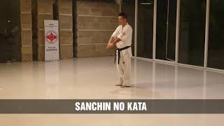 Sanchin No Kata  Kyokushin Kata [upl. by Theola]