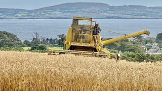 Harvesting oats in the West of Ireland with a New Holland Clayson 1545 Combine Harvester [upl. by Strander723]