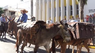 Cavalgada de Andradina 2018 [upl. by Cj531]