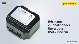 Hörmann 2KanalFunkUnterputzsender  HSU 2 BiSecur [upl. by Werby]