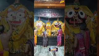 Jagannath ki Arati Darshan [upl. by Diraf]