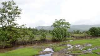 Expat Mystic Hills Investor Land  800 Mts from SH92 khopoli  pali highway [upl. by Dulsea209]