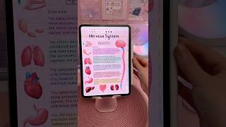 iPad note taking pink mode 🩷✏️ take notes with me  notability app  aesthetic digital notes  study [upl. by Teage]