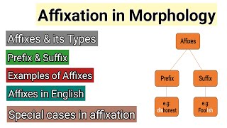 Affixation in Morphology  Affixes amp its types  Prefix and suffix examples  Words Formation Proces [upl. by Ariuqahs]