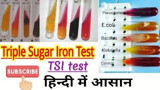 Triple sugar iron TSI test microbiology  Bacterial identification in hindi [upl. by Greene]