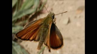 Kefalonia Lourdas More than a beach [upl. by Henrietta]