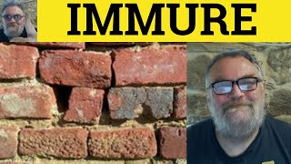 🔵 Immure Meaning  Immured Examples  Immure Definition  Formal Vocabulary  Immure [upl. by Grochow810]