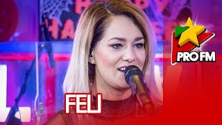 FELI  Frunze cad  ProFM LIVE Session [upl. by Viquelia197]