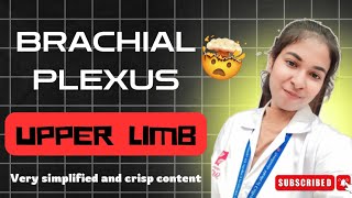 Brachial Plexus  Upper Limb simplified anatomy smcw [upl. by Jeb]