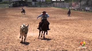 20º Rodeio Internacional do Conesul  Laço Equipe  1ª Volta  SextaFeira [upl. by Follansbee]