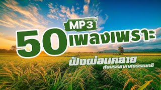 รวมเพลง 50 เพลงเพราะ MP3 ฟังผ่อนคลาย [upl. by Ilamad10]