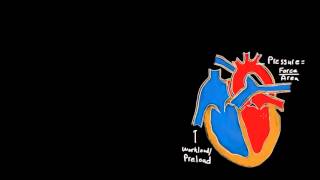 Heart Failure Medications Part 1 [upl. by Enilehcim]