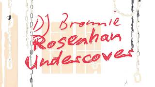 Rosenhan Undercover [upl. by Gerdeen]