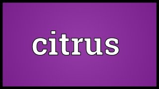 Citrus Meaning [upl. by Lyndsay]