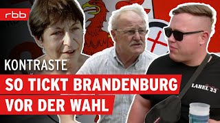 Heißer Wahlkampf Wie wählt Brandenburg  Kontraste  Politikmagazin  Reportage [upl. by Ahsieker]