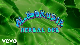 Alborosie  Herbal Dub [upl. by Navonod]