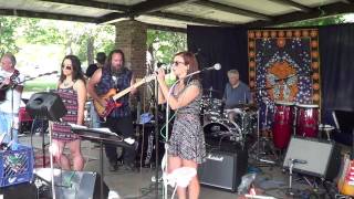 Carpetbaggers  Jenny Lewis  Neighborhood Picnic Band 2014 [upl. by Zared]