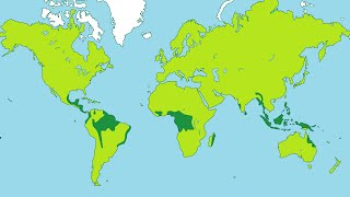 Facts about Tropical Rainforests [upl. by Dalohcin]