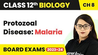 Protozoal Disease Malaria  Human Health amp Disease  Class 12 Biology Chapter 8 202223 [upl. by Neffirg681]