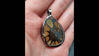 AmmoniteHematite Pendant jewelry hematite ammonite fossil healingcrystals [upl. by Bergquist851]