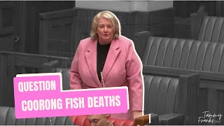 Question Coorong Fish Deaths [upl. by Manara279]