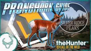 The Ultimate Guide to Hunting Pronghorn on a Budget theHunter Call of the Wild [upl. by Htebyram907]