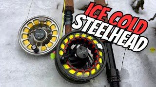 Frozen Steelhead Fishing  Great Lakes Trib [upl. by Alian]