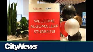 Algoma University helps high school seniors transition into postsecondary education [upl. by Anaoy]