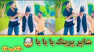 shahpur prank  شاپر پرینک  Sharooz King [upl. by Kcirdled]