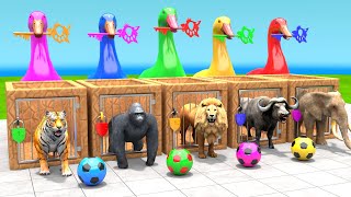 Tiger Buffalo Elephant Lion Gorilla Choose The Right ESCAPE ROOM CHALLENGE Animals Cage Game [upl. by Hpesoy]