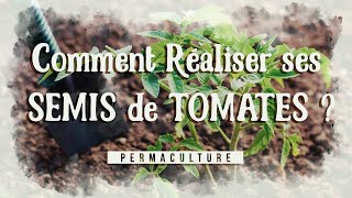 Comment réaliser ses semis de tomates  permaculture [upl. by Worl827]