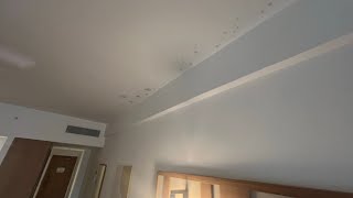 RIU Palace Bavaro  NEW ROOM MOLD PROBLEM YUCK [upl. by Tammany]