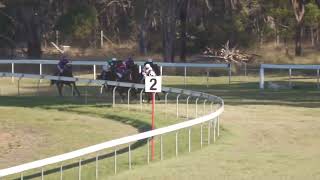 Nanango 20240907 Race 5 [upl. by Wurst]