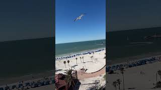 Clearwater Beach midday vibe sunny tampabayflorida ￼clearwaterbeach [upl. by Rawley]