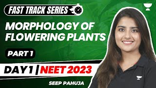 Morphology of Flowering Plants  Part 1  Fast Track Revision NEET 2023  Seep Pahuja [upl. by Nestor285]