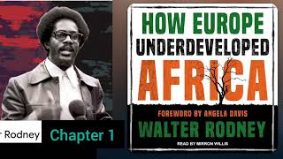 HOW EUROPE UNDERDEVELOPED AFRICA BY WALTER RODNEY CHAPTER 1 [upl. by Ardnaiek354]