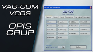 Opis grup parametrów w programach VCDS  VAGCOM [upl. by Adine153]