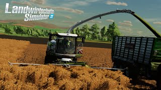 Ls22  6  GPS Häckseln als Lohner  1x Claas Jaguar 960 TT  2X Fendt  1x New Holland T8410 [upl. by Yensehc957]