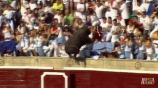 Enraged Bull Leaps into Stands  Worlds Scariest Animal Attacks [upl. by Bronk723]