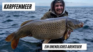 Das Karpfenmeer ein unendliches Abenteuer Trailer [upl. by Einattirb20]