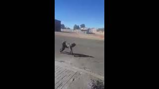 Man who walks like a dog Philip oliphant from south africa part1 [upl. by Petrie]